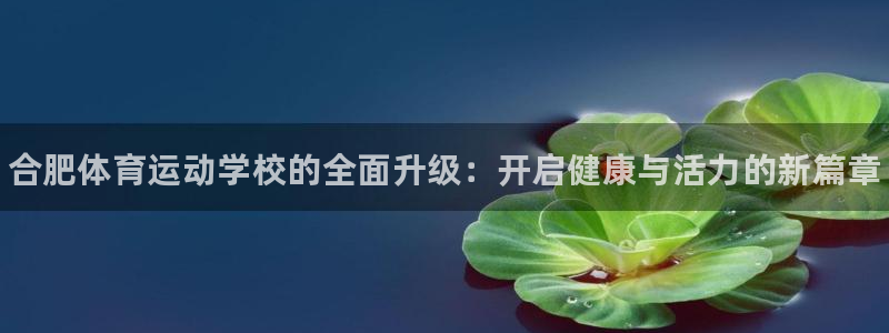 vsport体育官网下载娱乐:合肥体育运动学校的全面升级:开