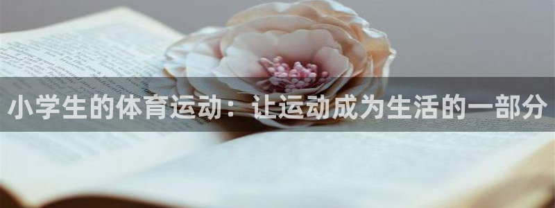 德国vsport体育官方正版app集团:小学生的体育运动:让