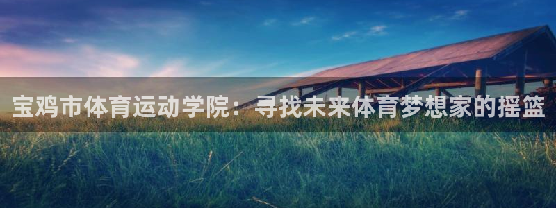 vsport体育官方正版app集团简介:宝鸡市体育运动学院: