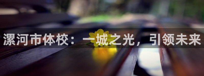 vsport体育官网下载平台注册要钱吗是真的吗:漯河市体校: